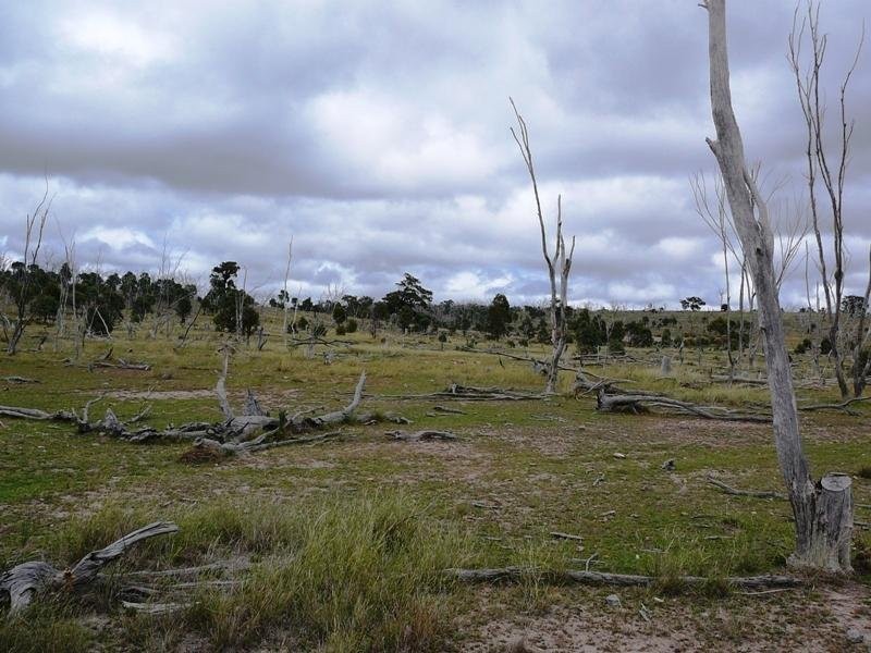 Warwick QLD 4370