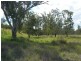 Oman Ama QLD 4352