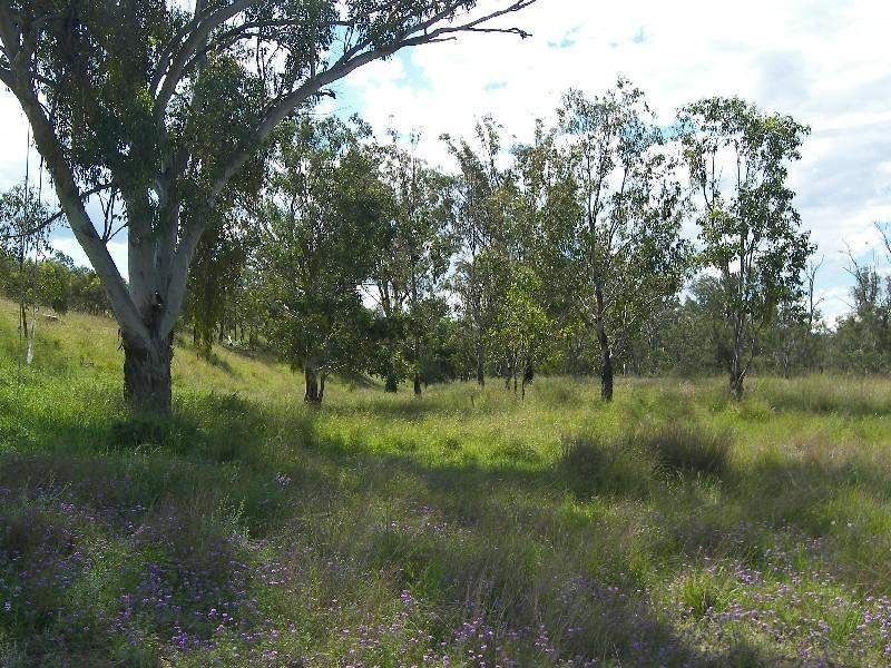 Oman Ama QLD 4352