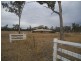 Clifton QLD 4361