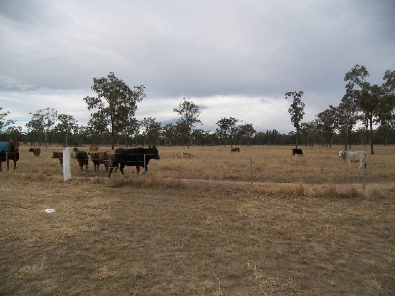 Clifton QLD 4361