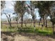 Lot 1 Goomburra Road, Goomburra QLD 4362