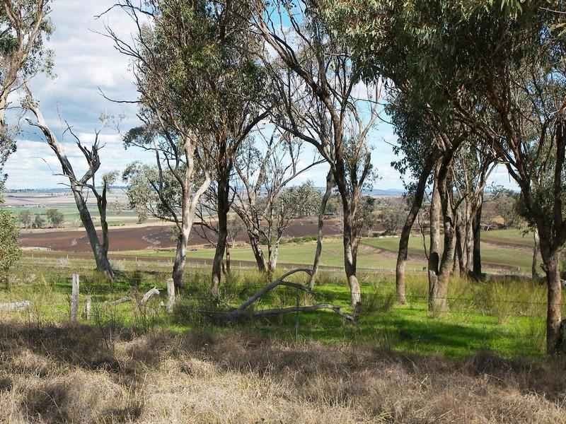 Lot 1 Goomburra Road, Goomburra QLD 4362