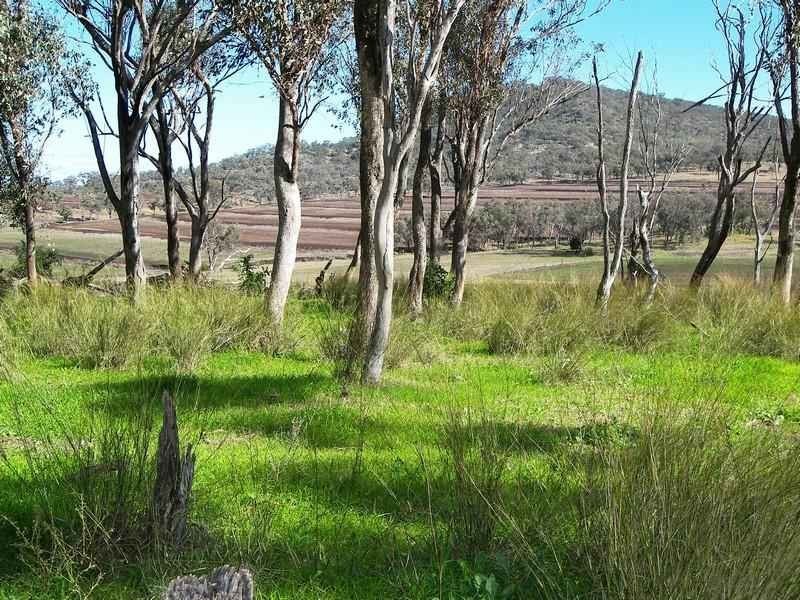 Lot 1 Goomburra Road, Goomburra QLD 4362