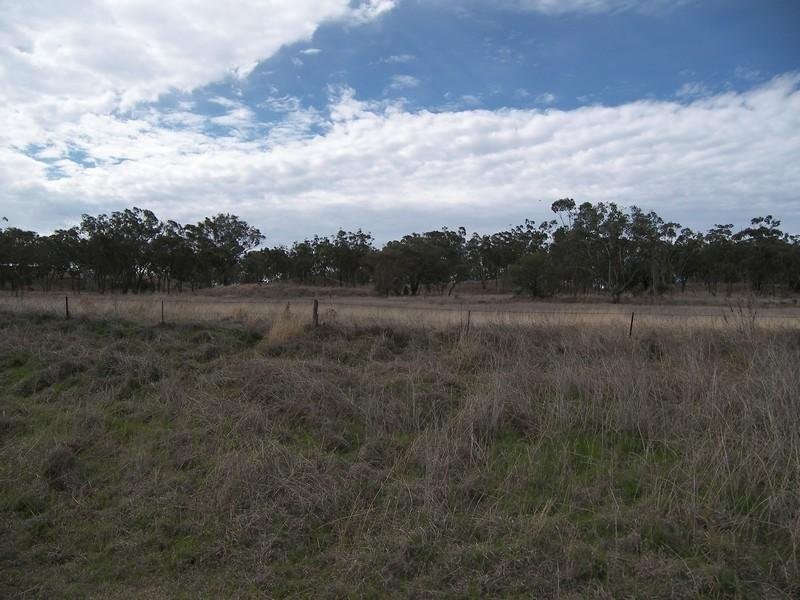 Warwick QLD 4370