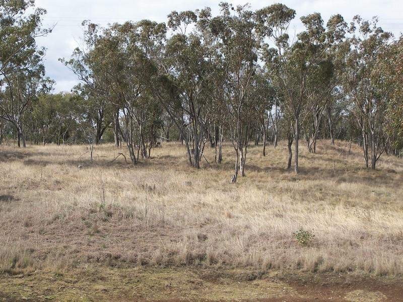 Warwick QLD 4370
