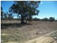 Greymare QLD 4370