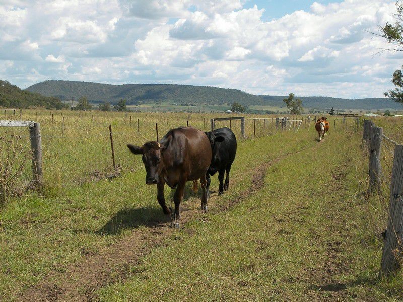 467 North Branch Road, Goomburra QLD 4362