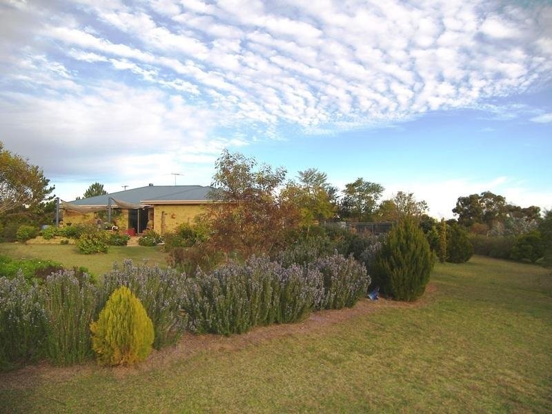 Warwick QLD 4370