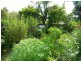 134 Grafton Street, Warwick QLD 4370
