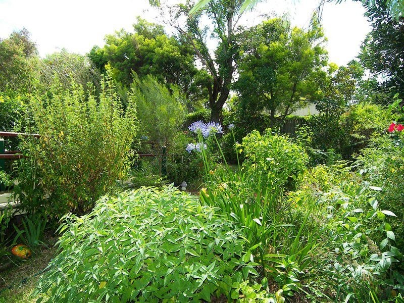 134 Grafton Street, Warwick QLD 4370