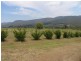 Swanfels QLD 4371