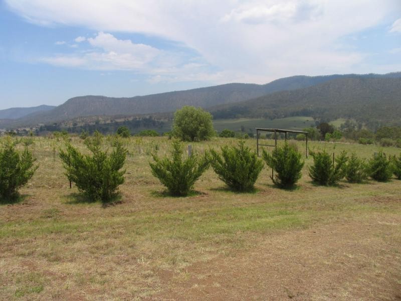 Swanfels QLD 4371