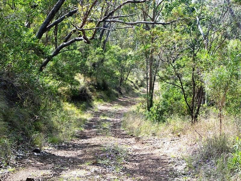 102 Dollar Bill Road, Warwick QLD 4370