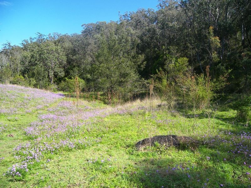 102 Dollar Bill Road, Warwick QLD 4370