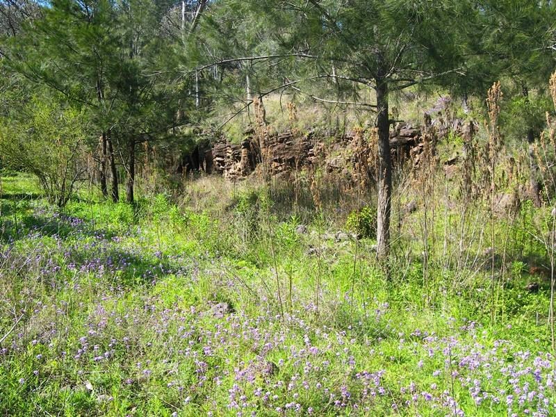 102 Dollar Bill Road, Warwick QLD 4370