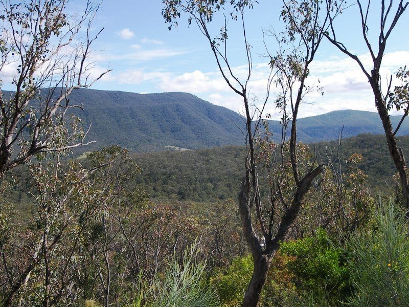 102 Dollar Bill Road, Warwick QLD 4370