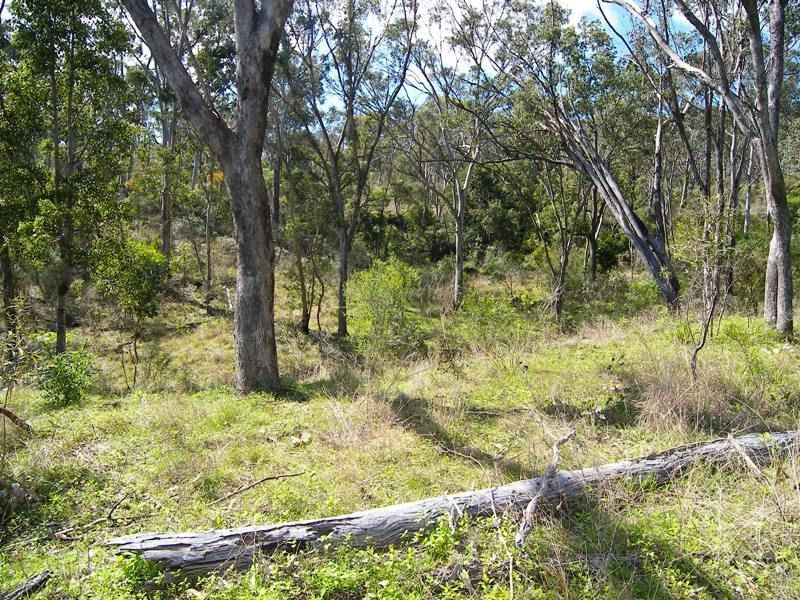 102 Dollar Bill Road, Warwick QLD 4370