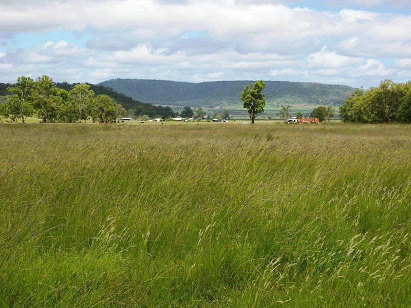 557 North Branch Road, Goomburra QLD 4362