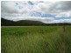 557 North Branch Road, Goomburra QLD 4362