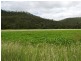 557 North Branch Road, Goomburra QLD 4362