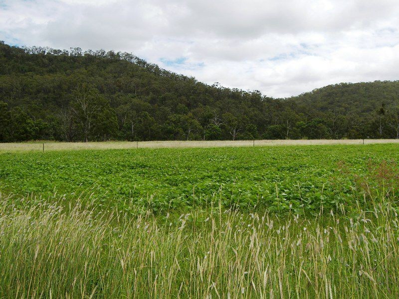 557 North Branch Road, Goomburra QLD 4362