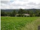557 North Branch Road, Goomburra QLD 4362