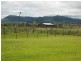 63 Tom Grayson Road, Loch Lomond QLD 4370
