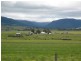 63 Tom Grayson Road, Loch Lomond QLD 4370
