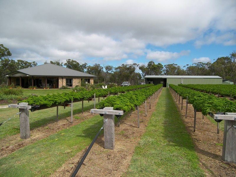 586 Texas Road, Stanthorpe QLD 4380