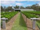 586 Texas Road, Stanthorpe QLD 4380