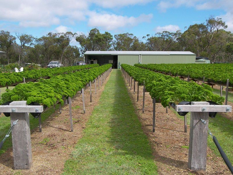 586 Texas Road, Stanthorpe QLD 4380