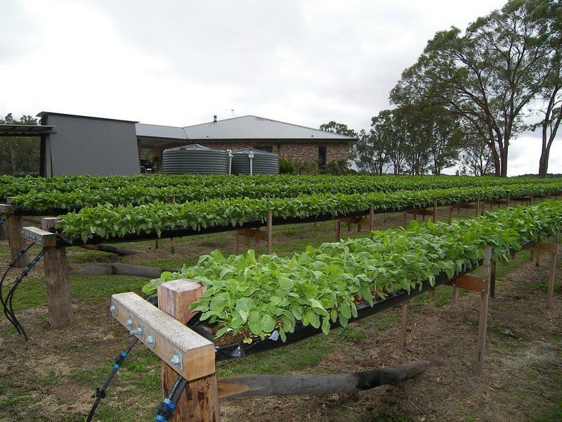 586 Texas Road, Stanthorpe QLD 4380