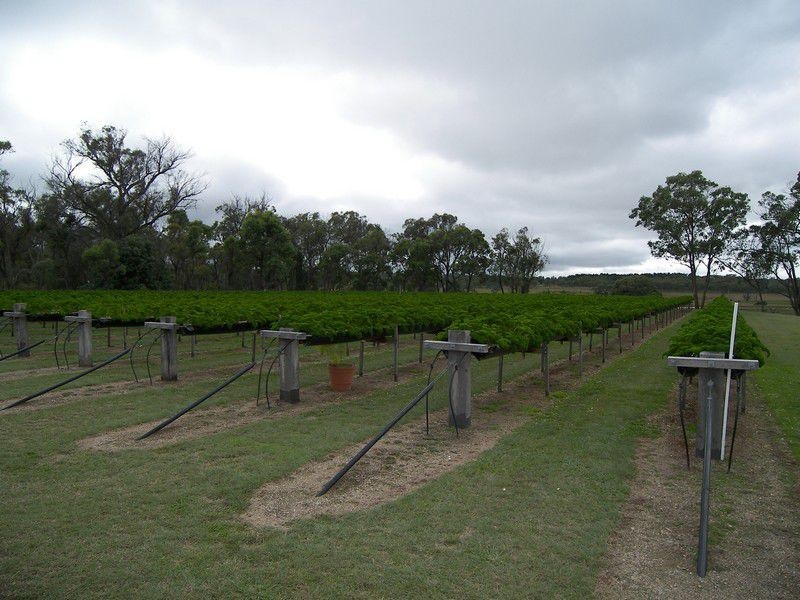 586 Texas Road, Stanthorpe QLD 4380