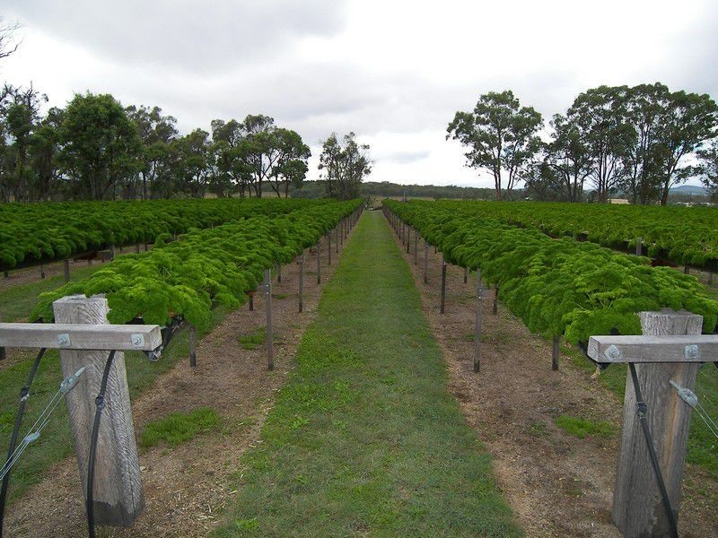 586 Texas Road, Stanthorpe QLD 4380