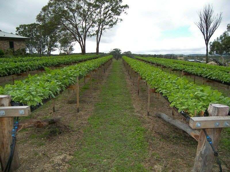 586 Texas Road, Stanthorpe QLD 4380