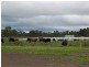 586 Texas Road, Stanthorpe QLD 4380