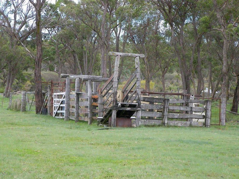 586 Texas Road, Stanthorpe QLD 4380