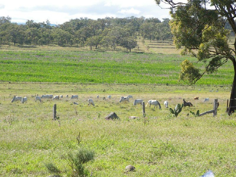 224 Reids Road, Warwick QLD 4370