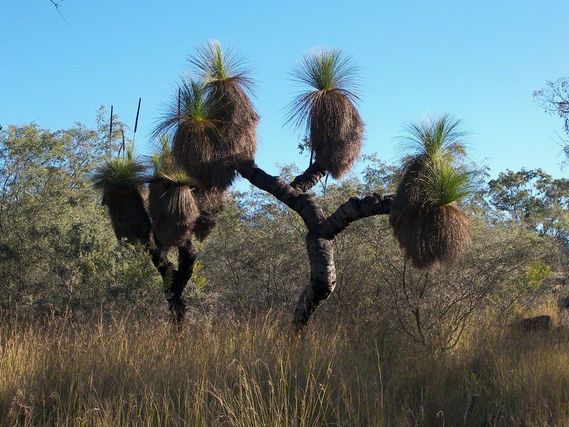 679 Pikedale Road, Warwick QLD 4370