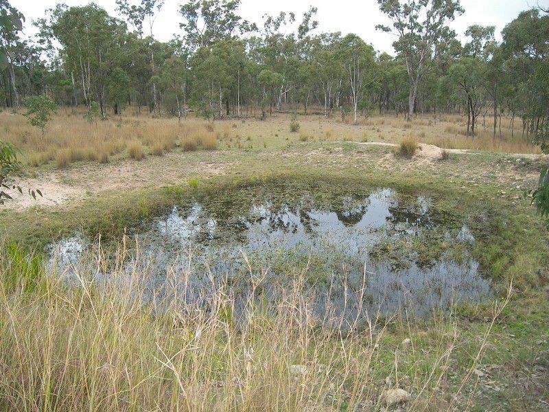 679 Pikedale Road, Warwick QLD 4370