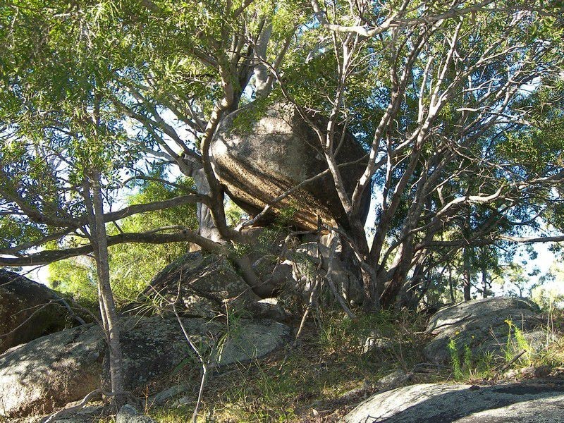 679 Pikedale Road, Warwick QLD 4370