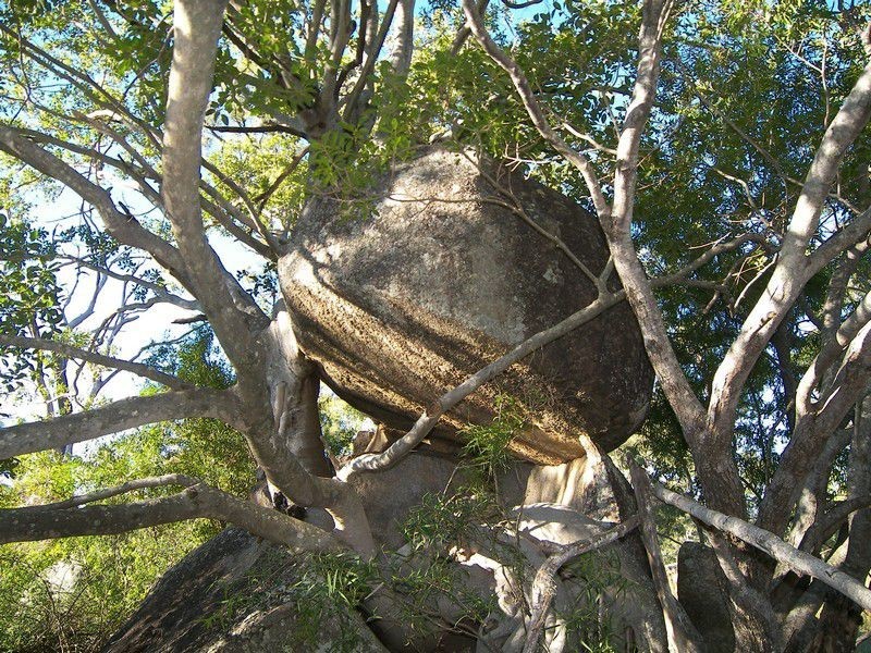 679 Pikedale Road, Warwick QLD 4370