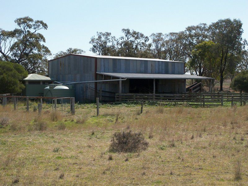 282 Wiedmans Road, Warwick QLD 4370