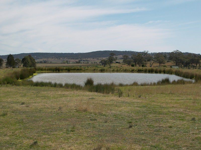 282 Wiedmans Road, Warwick QLD 4370
