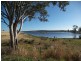 111 Lyndhurst Lane, Rosenthal Heights QLD 4370