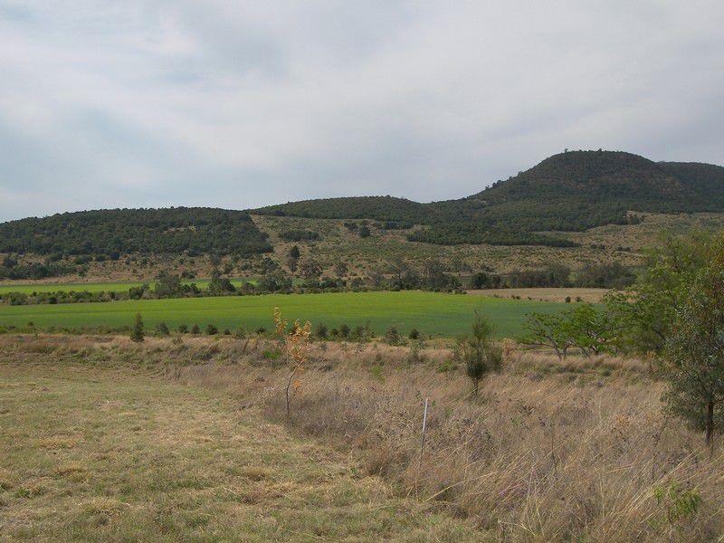 6 Charleys Gully Road, Freestone QLD 4370