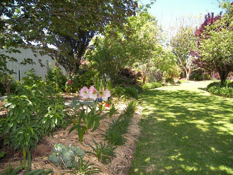 9 Matthew Jones Drive, Warwick QLD 4370