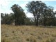 Rosenthal Heights QLD 4370