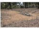 Wheatvale QLD 4370